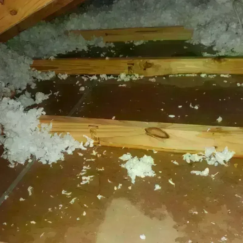 Attic Water Damage in Lincoln County, WA