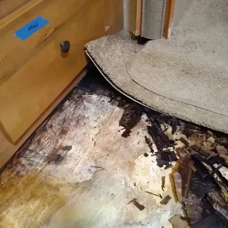 Wood Floor Water Damage in Lincoln County, WA